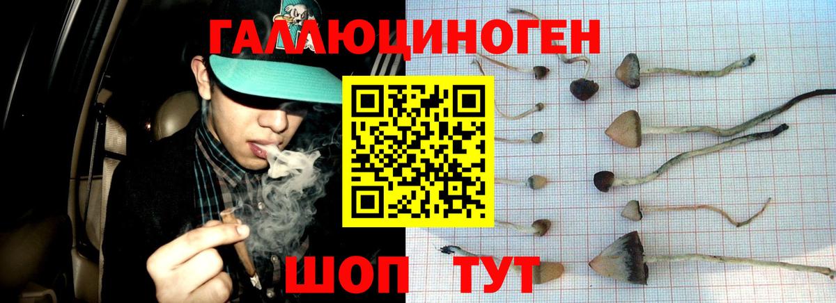 Псилоцибиновые грибы Magic Shrooms Екатеринбург